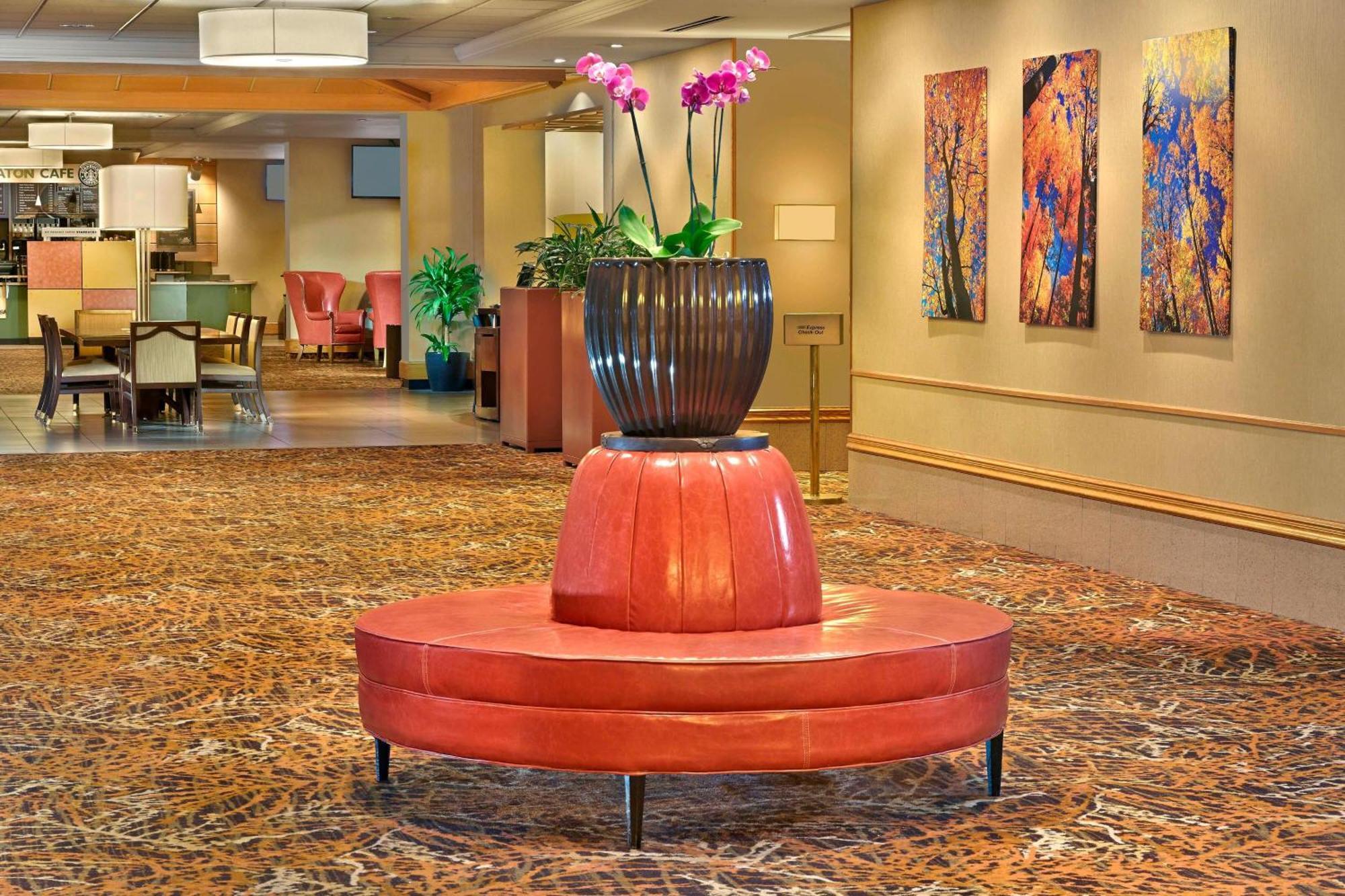 Sheraton Hartford Hotel At Bradley Airport Виндзор Локс Экстерьер фото